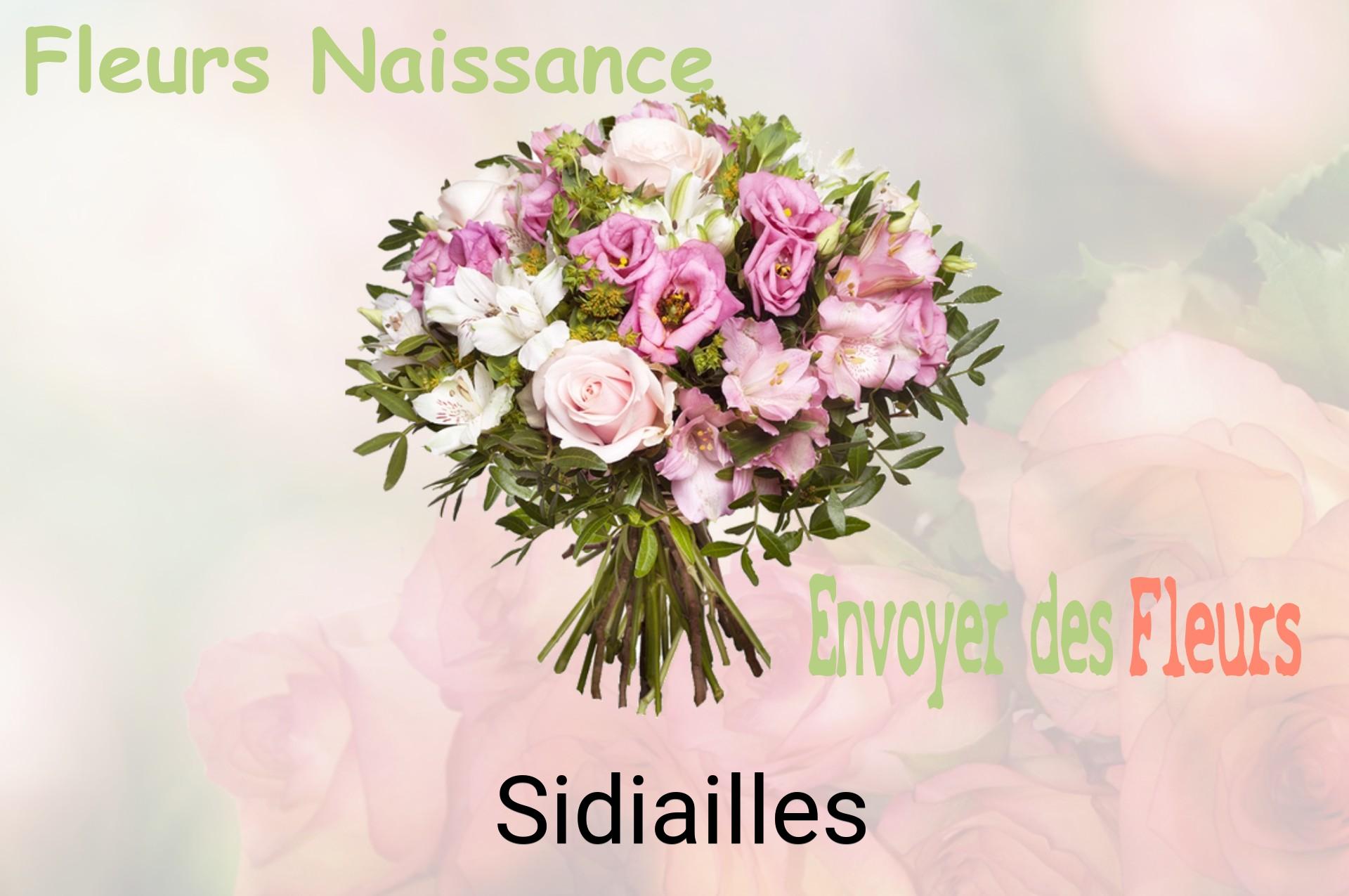 Bouquet de fleurs de naissance livré à Sidiailles